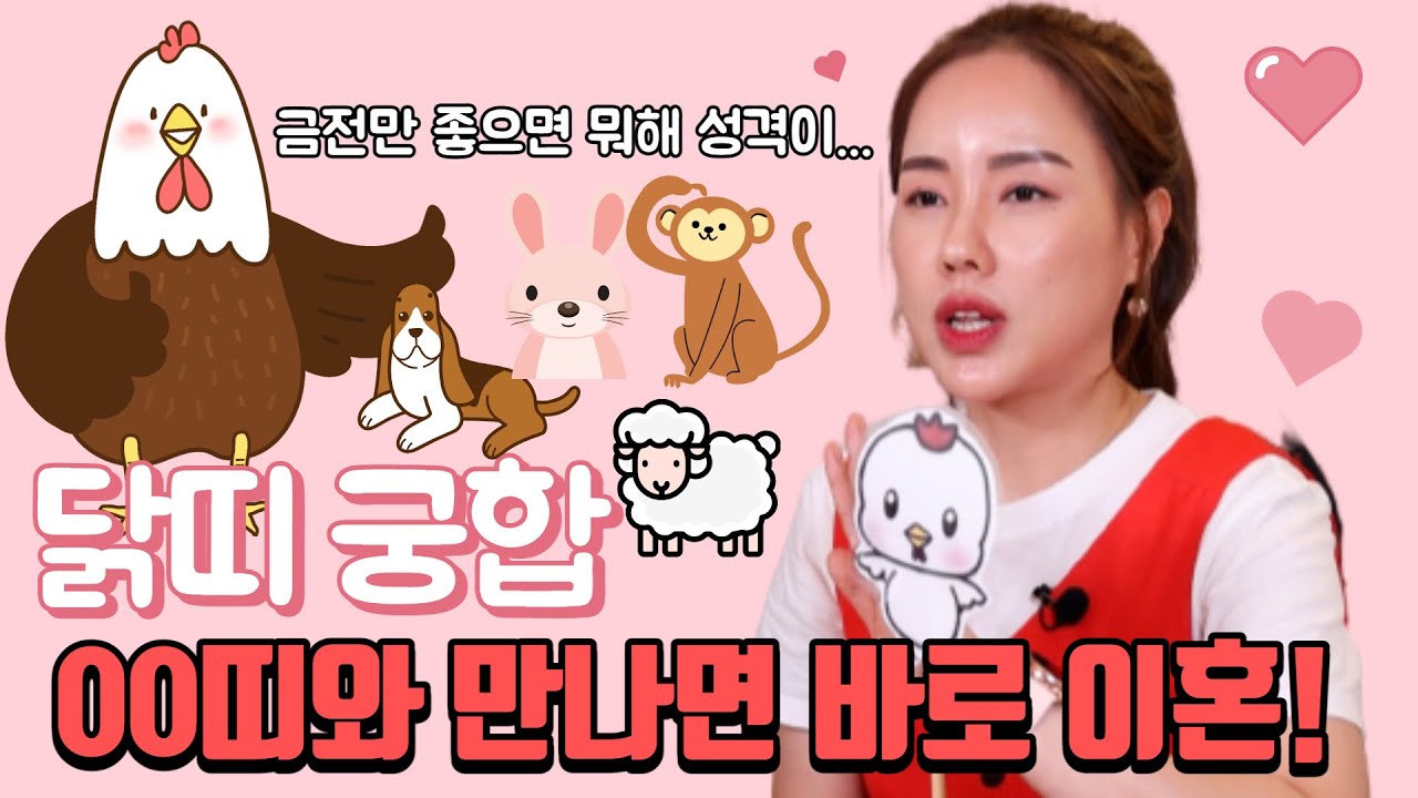 한 성격 하는 닭띠! 이 띠를 조심하세요!