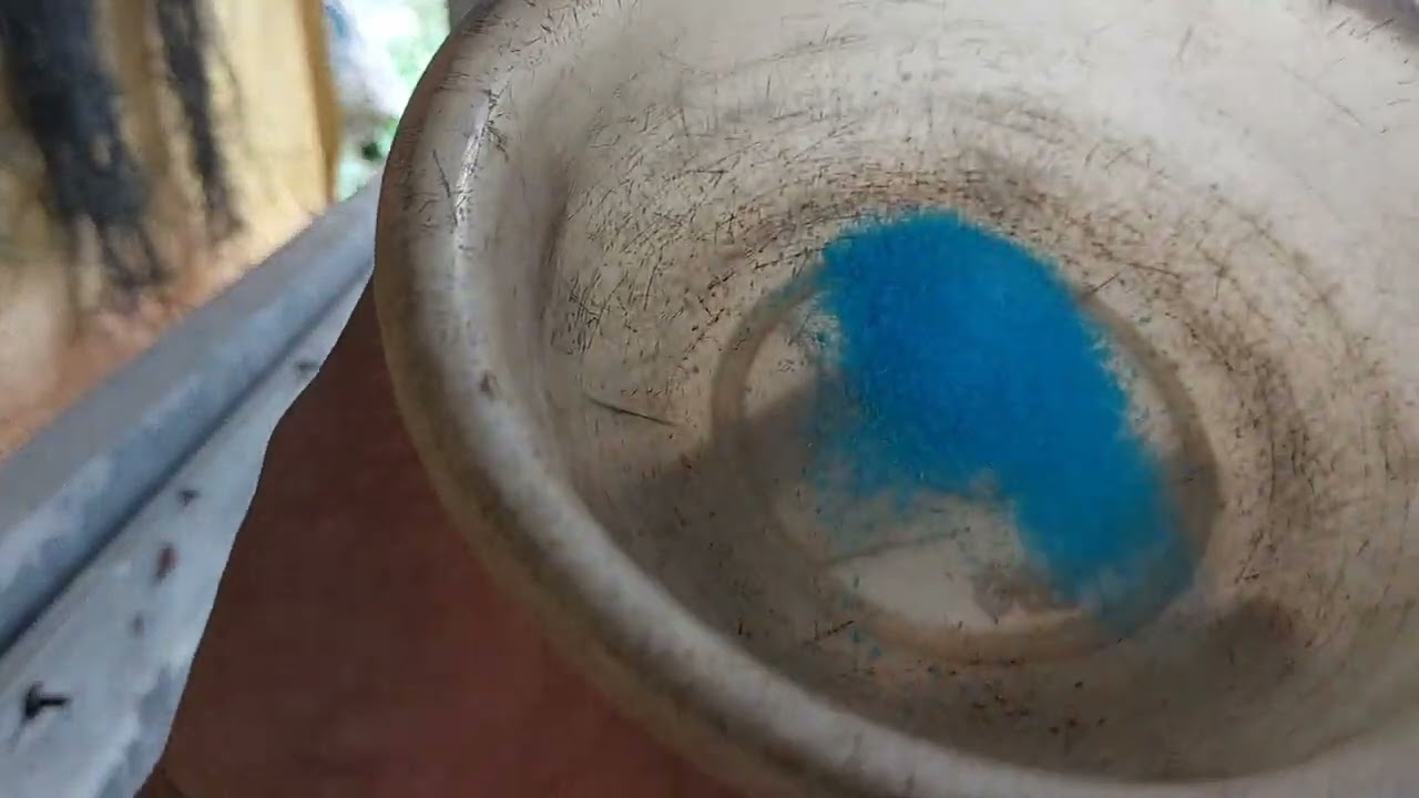 cẩn trọng khi dùng thuốc xử lý diệt khuẩn và giải pháp hổ trợ phục hồi cho lươn