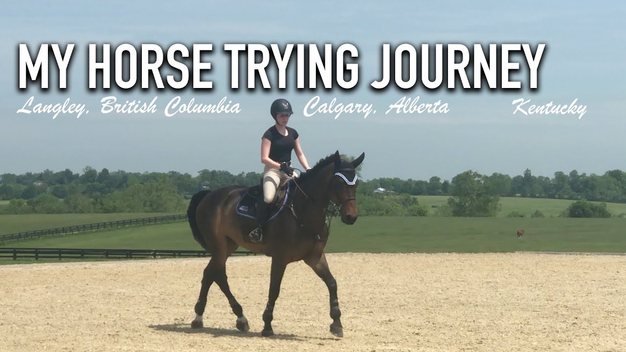 MY HORSE TRYING JOURNEY!  (Raw Uncut Videos)