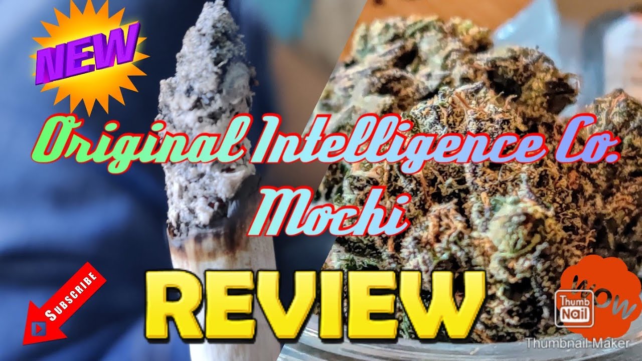 Weed Strains: Mochi: Original intelligence