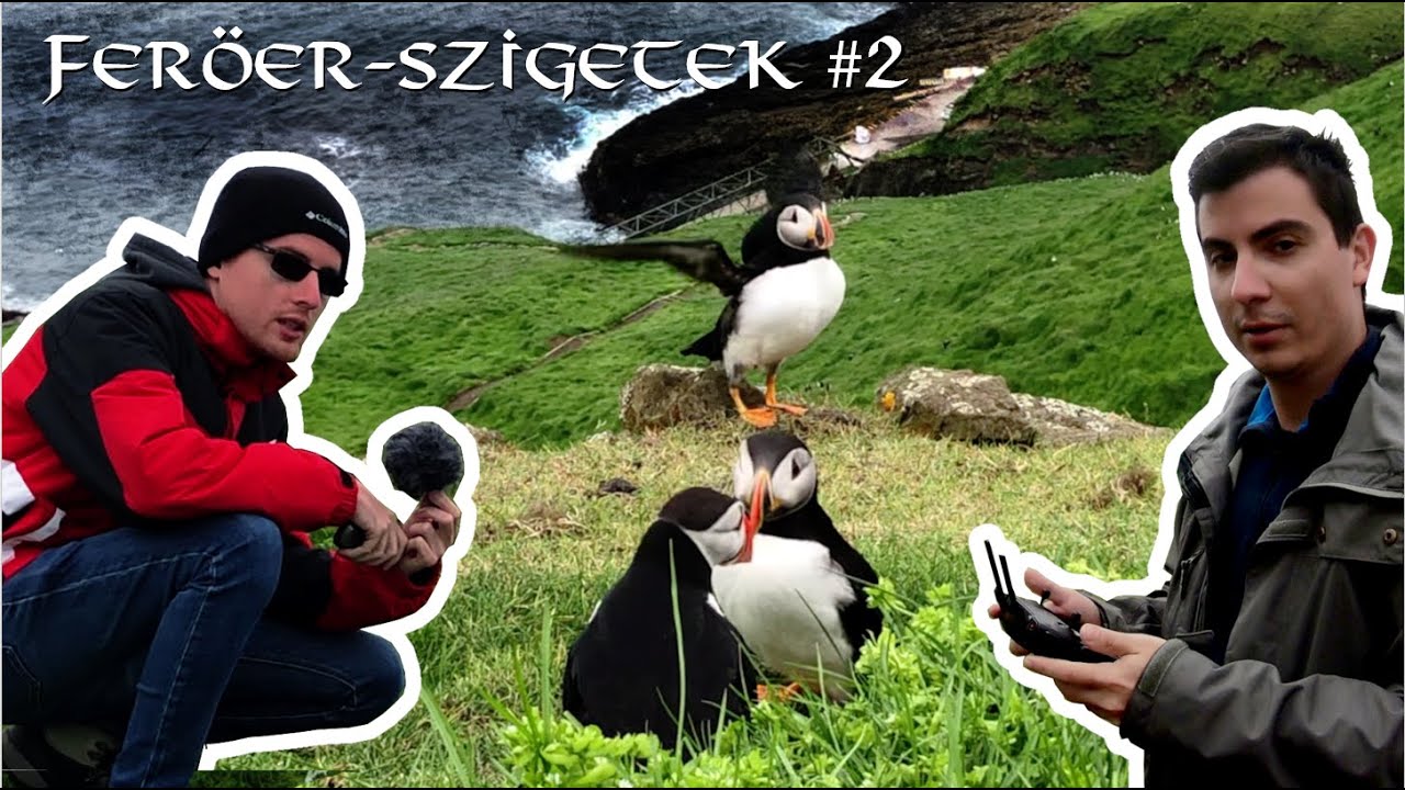 Feröer-szigetek #2 – Csak a puffin ad neked erőt és mindent lebíró akaratot