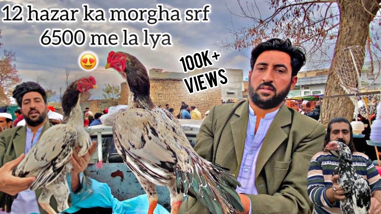 Aseel Market || Naveedpetsvlog