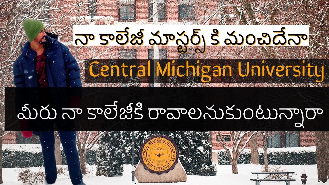 My university 