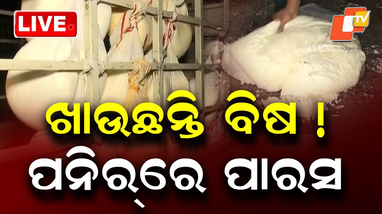 🔴Live | ପନୀରରେ ବିଷ !  Are You Eating Poison? Paraffin Found in Paneer! | OTV