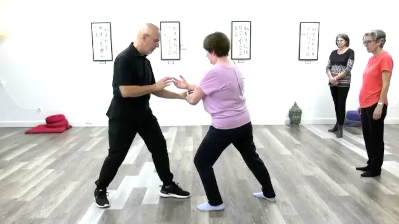 Tai Chi (7) Live Classes   Cours en direct (7)