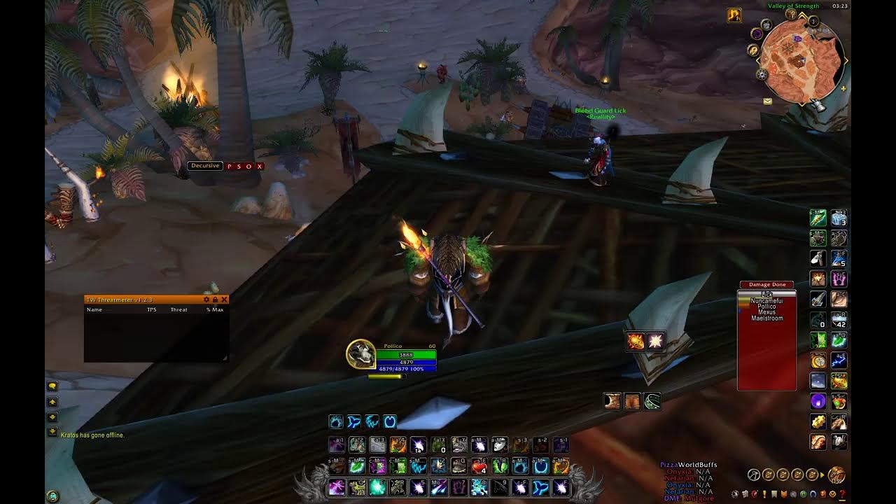 🐢TURTLE WOW SA - 60 DRUID PVP BGS 🐢