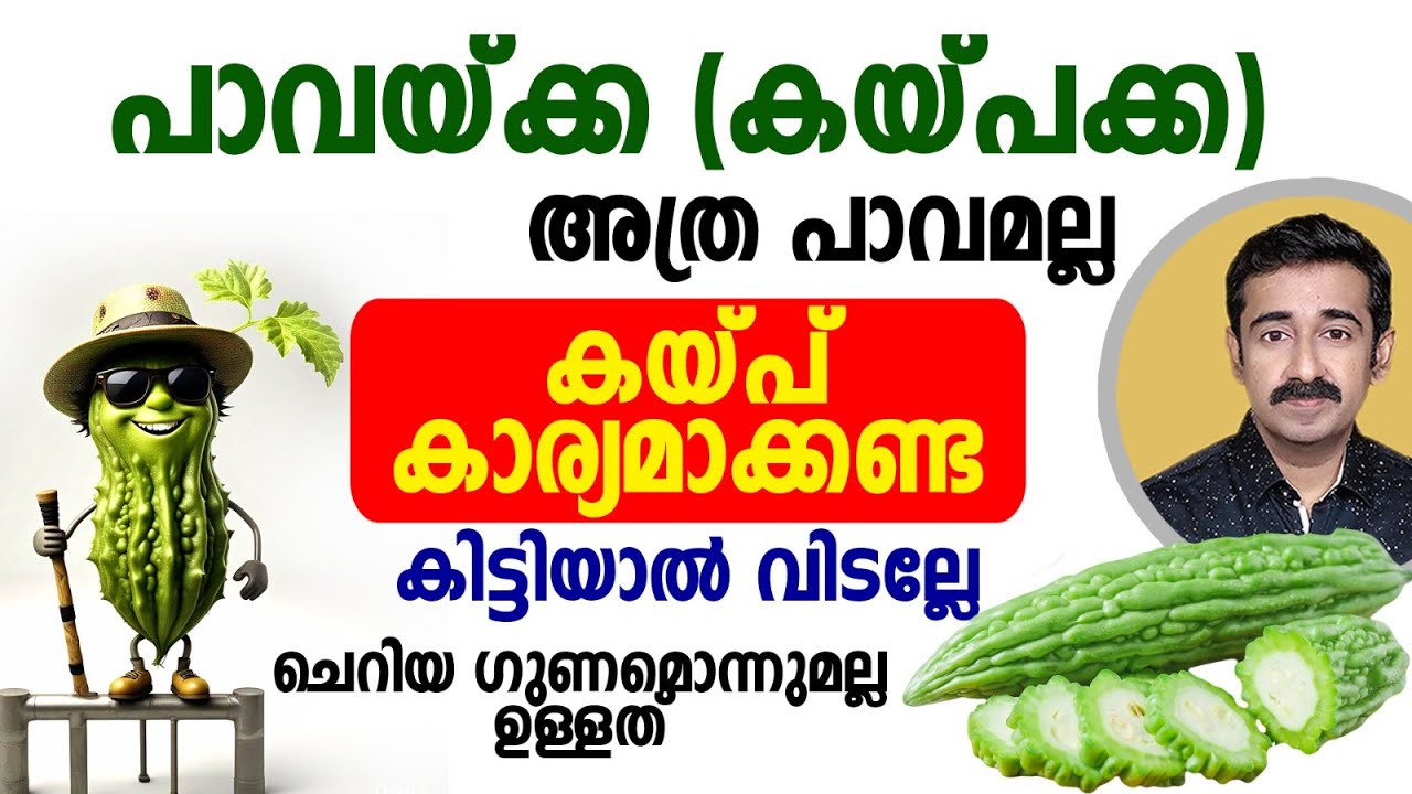 പാവയ്ക്ക അത്ര പാവമല്ല.. കയ്പ്പ് അത്ര കാര്യമാക്കേണ്ട. കിട്ടിയാൽ വിടല്ലേ.. ചെറിയ ഗുണമൊന്നുമല്ല ഉള്ളത്.