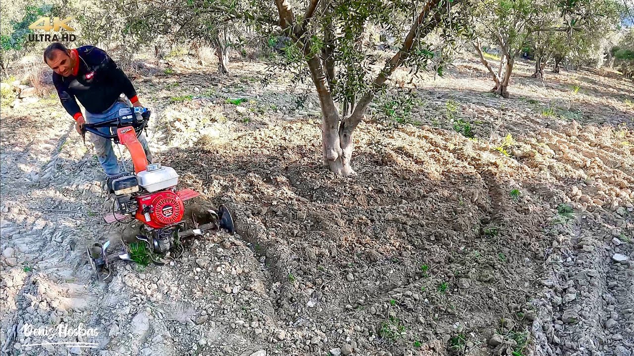 Bahçe Canavarı Honda Antrac GX 200 Benzinli Çapa Makinesi