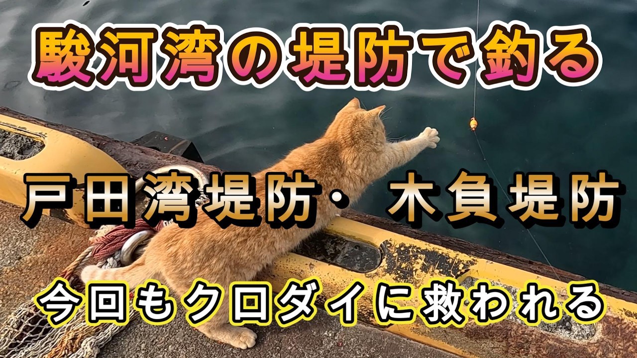 駿河湾の堤防で釣る～戸田湾堤防と木負（きしょう）堤防。大苦戦だったものの……