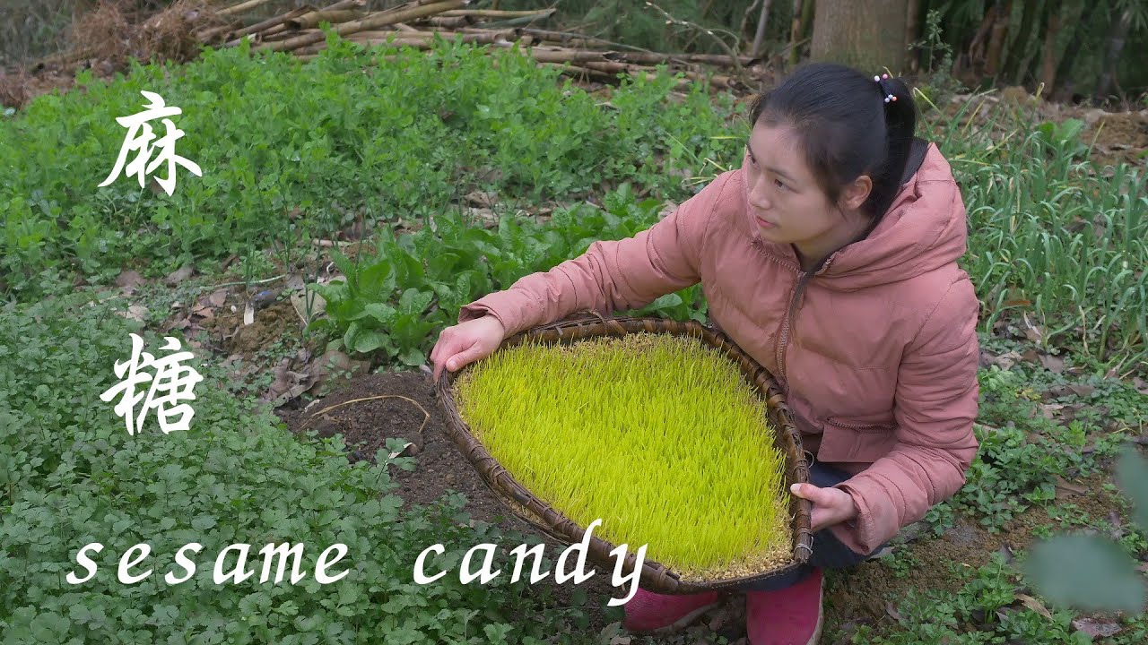 cow dung candy因為它的外形，我們當地叫它“牛屎糖”名字不怎麽好聽，味道卻很好