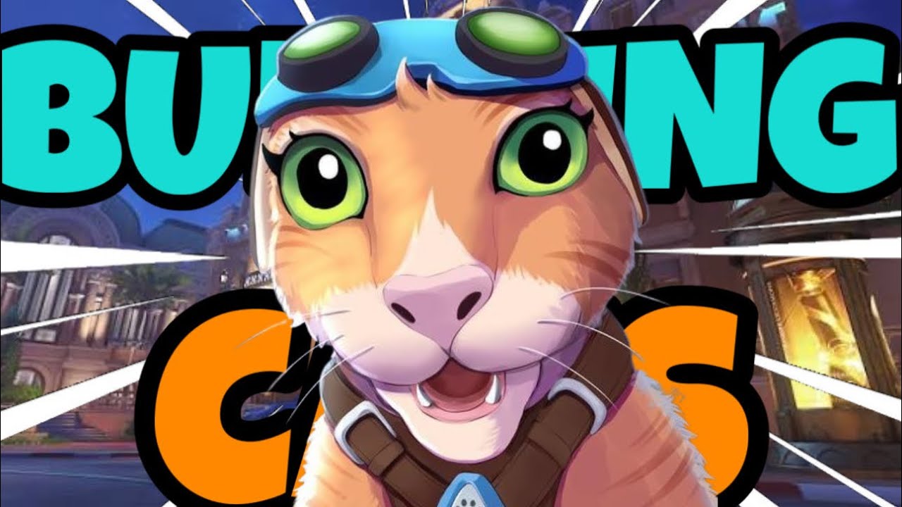 Bullying Jetpack Cat so you don't have to