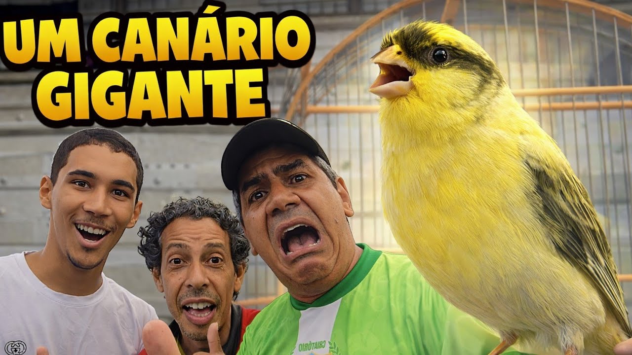FEIRA DE CAXIAS CHEIO DE CAN&Aacute;RIOS 