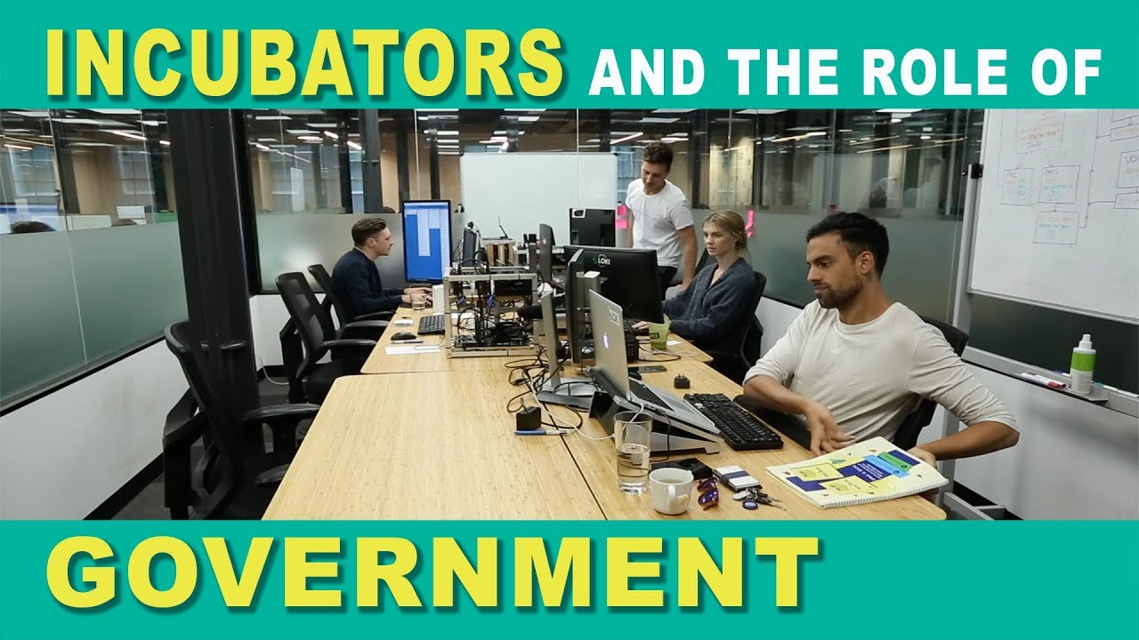 Incubators and the Role of Government