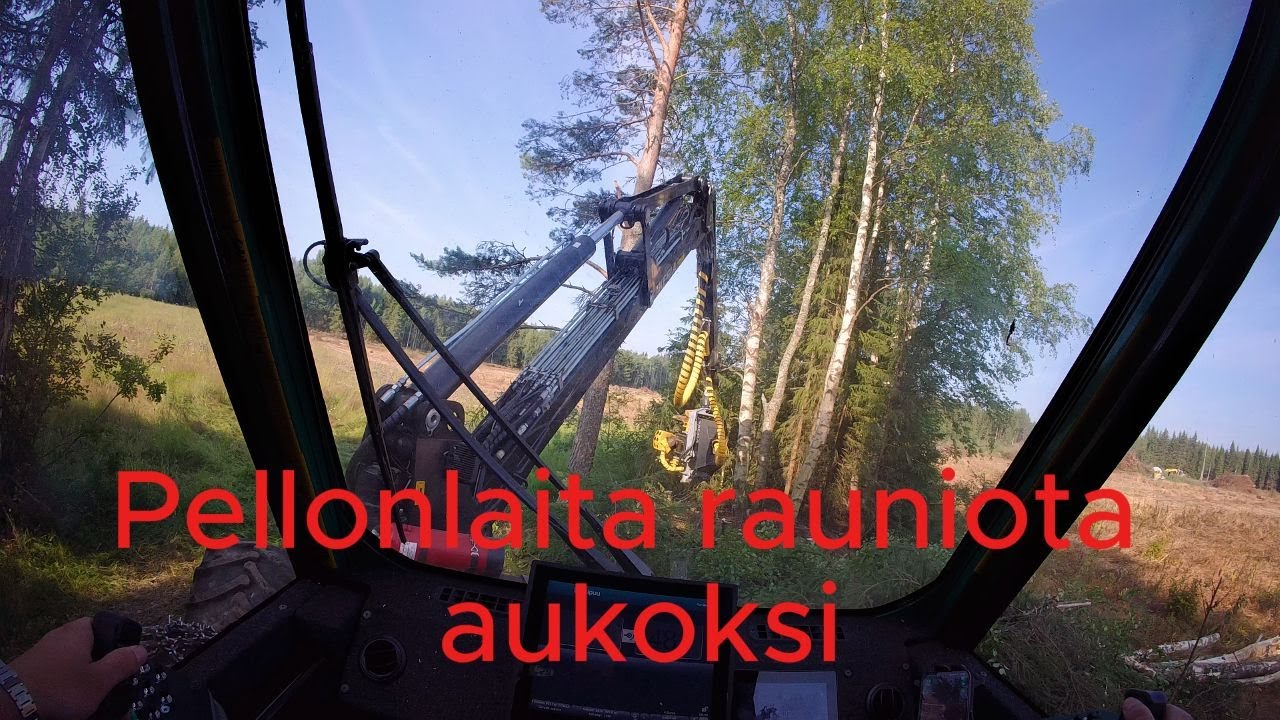 Pellonlaita raunion hakkuuta aukoksi Prosilva S3 & Kesla19