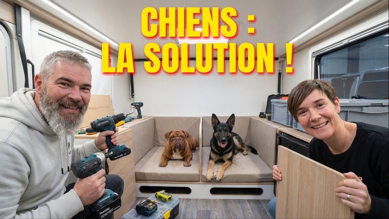 Aménager la Soute pour nos Chiens : Notre Solution Camping-Car