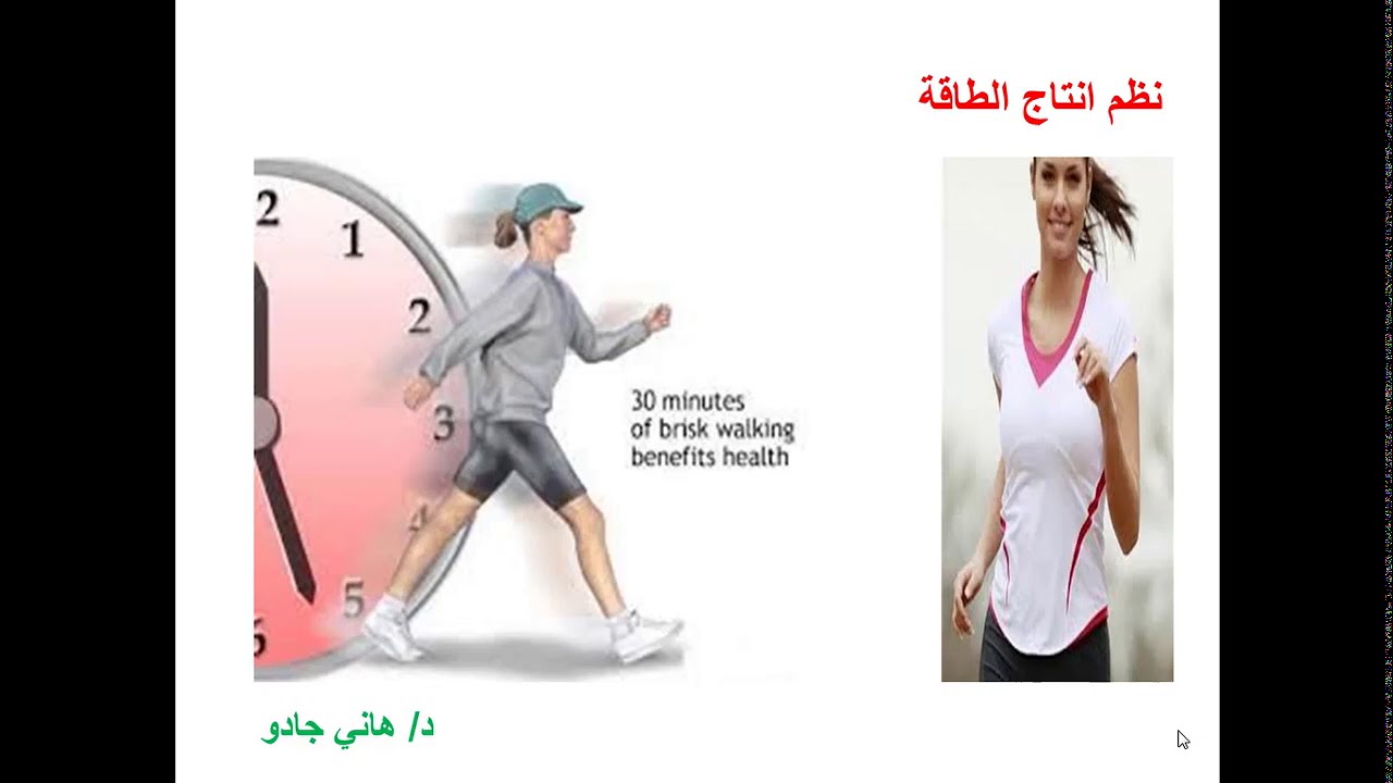 نظم انتاج الطاقة وشرح مبسط لل ATP