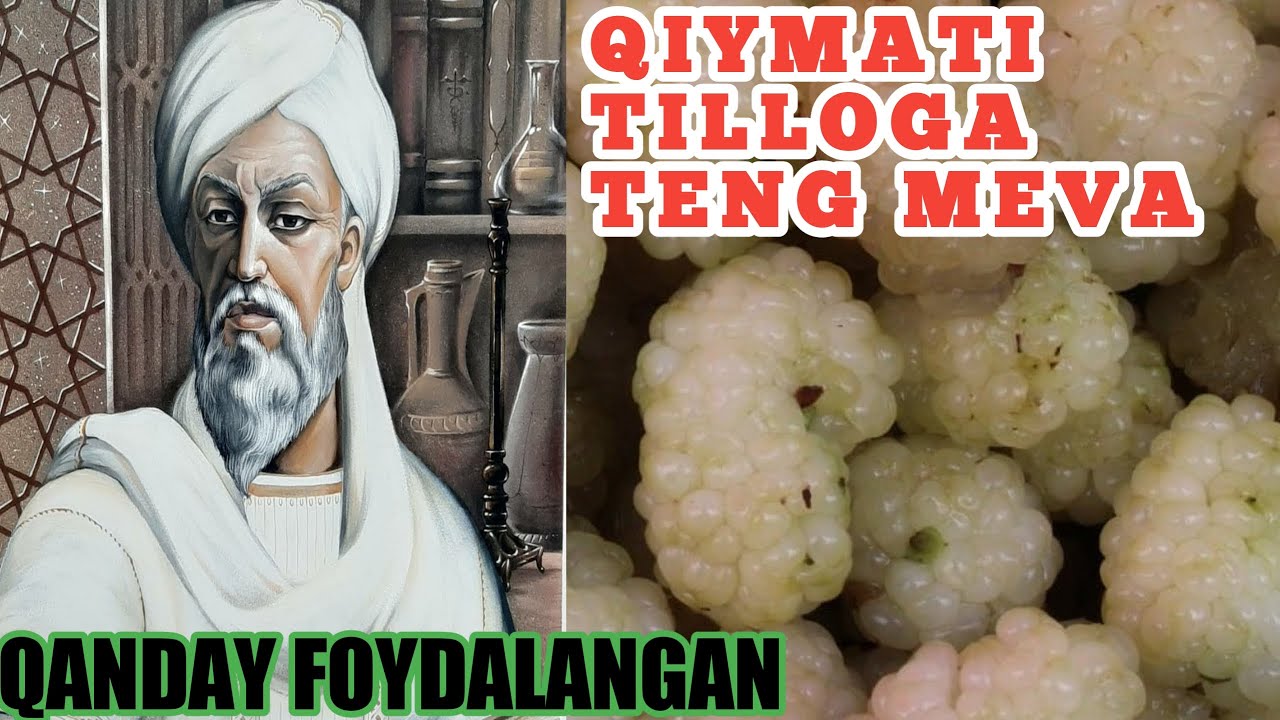 TUT mevasi xaqida malumotlar.