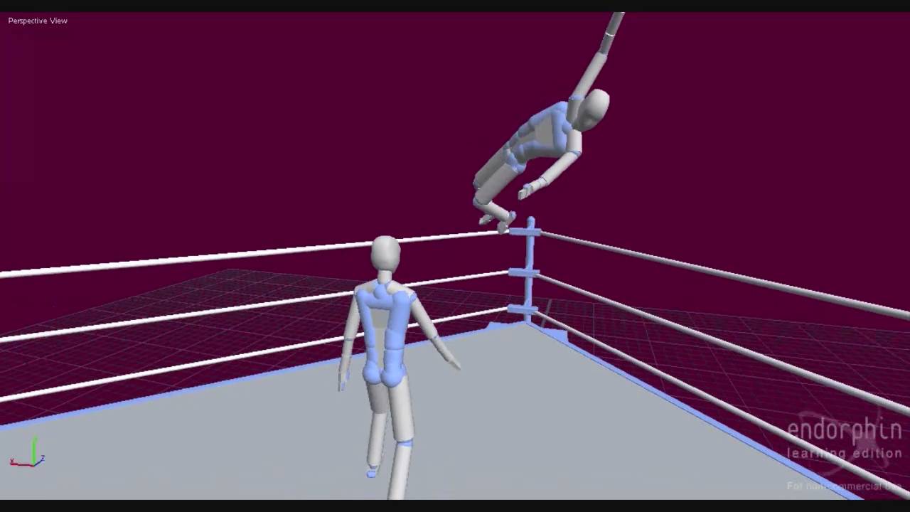 My LAST SOLO Endorphin Wrestling Vid