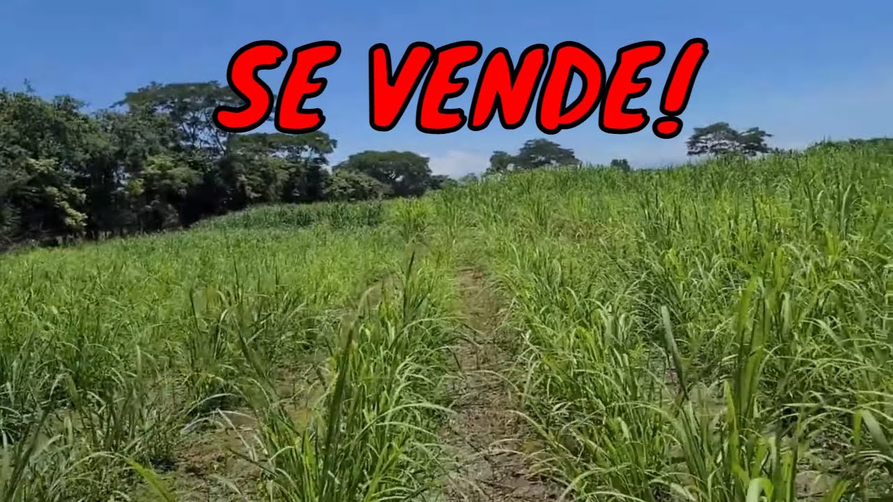 5 MANZANAS EN VENTA EN GUAZAPA CON ACCESO VEHÍCULAR, AGUA Y LUZ