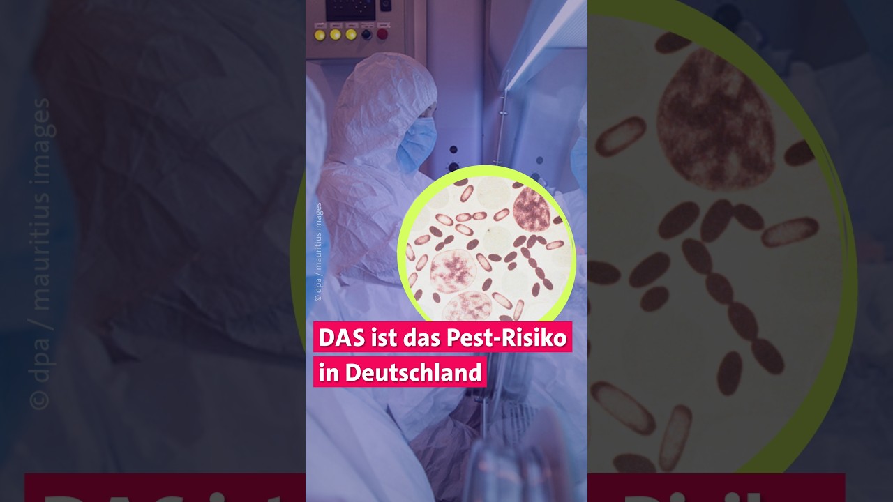 DAS ist das Pest-Risiko in Deutschland