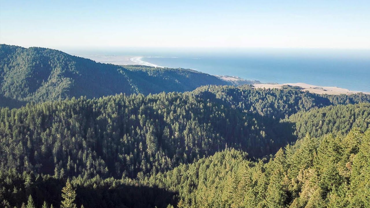 Elk Creek Timber Ranch, Mendocino County, California