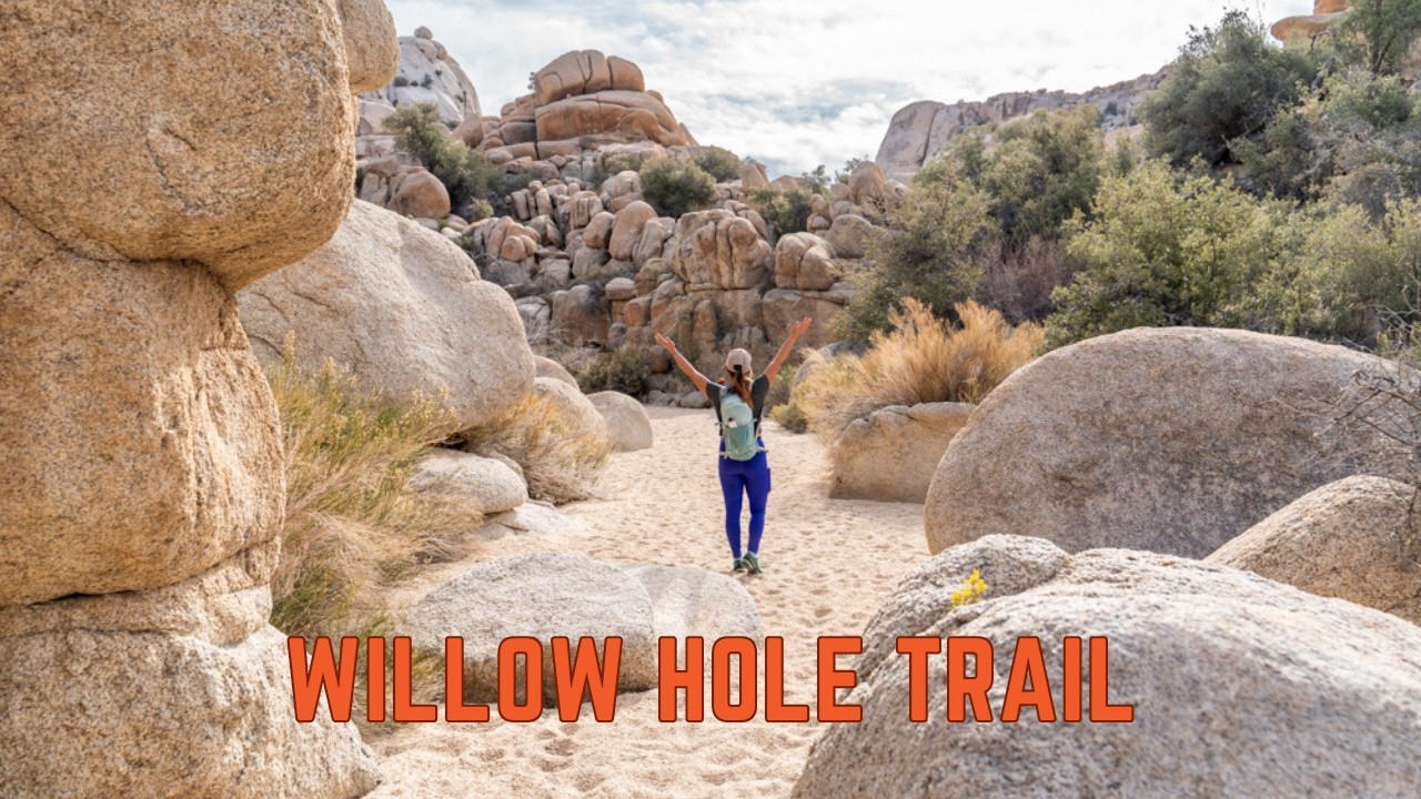 How to Hike to Willow Hole in Joshua Tree National Park | California