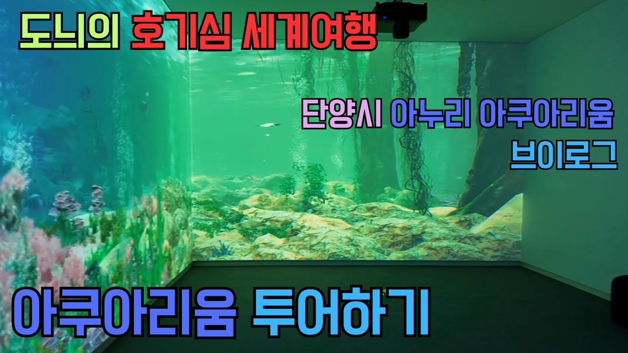 단양 아누리 아쿠아리움 투어하기