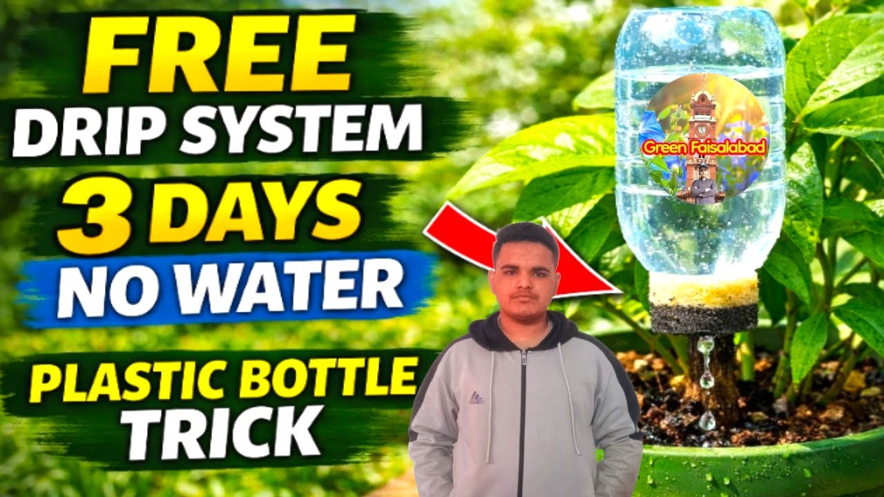 Free Drip Irrigation System | Old Plastic Bottle Se 3 Din Tak Pani | Green Faisalabad Gardening