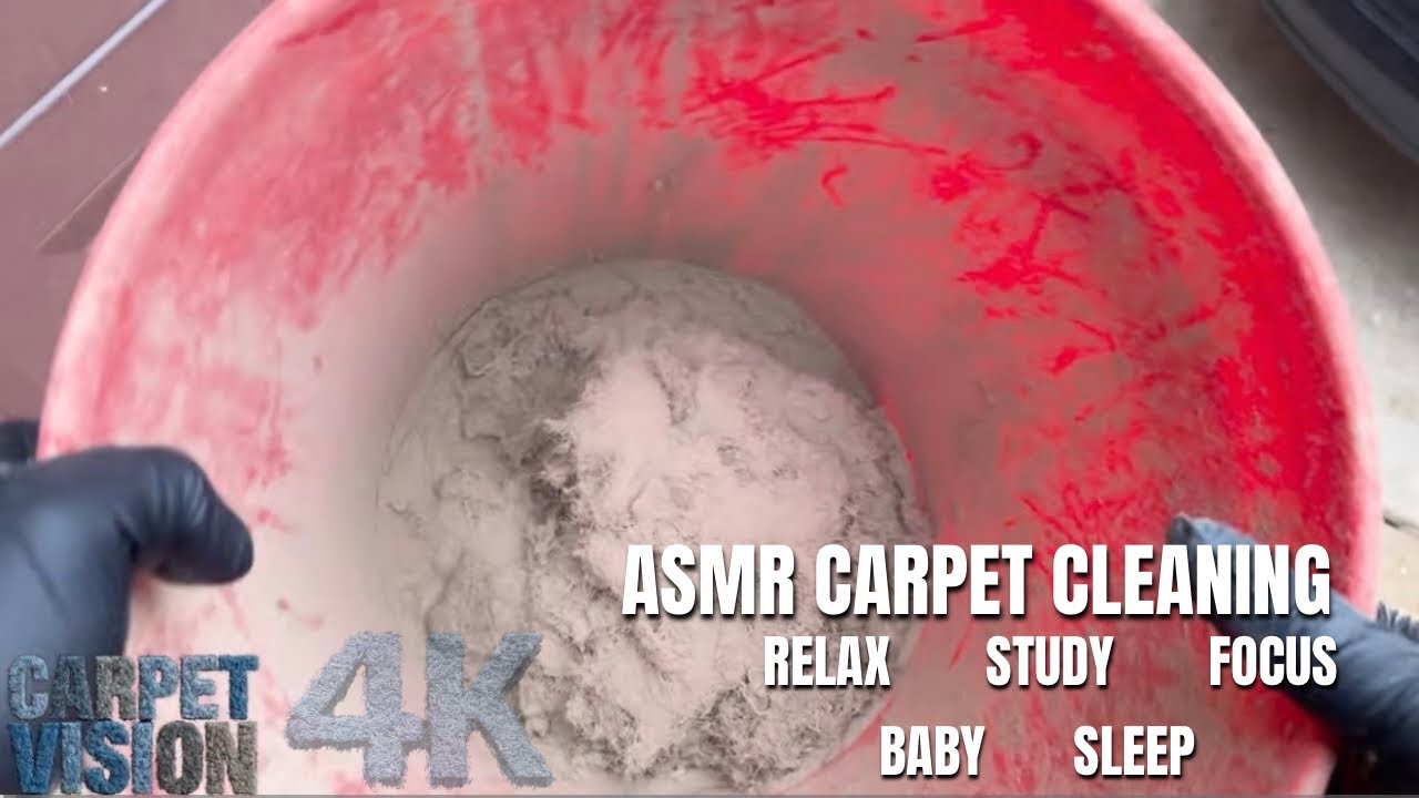 ASMR Carpet Cleaning | This Carpet Was Making Visits Impossible (Sleep Now)