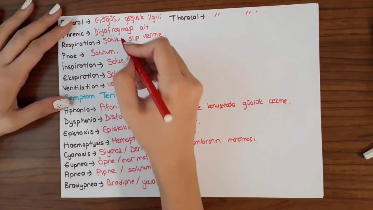 Solunum Sistemi Terimleri | Tıbbi Terminoloji