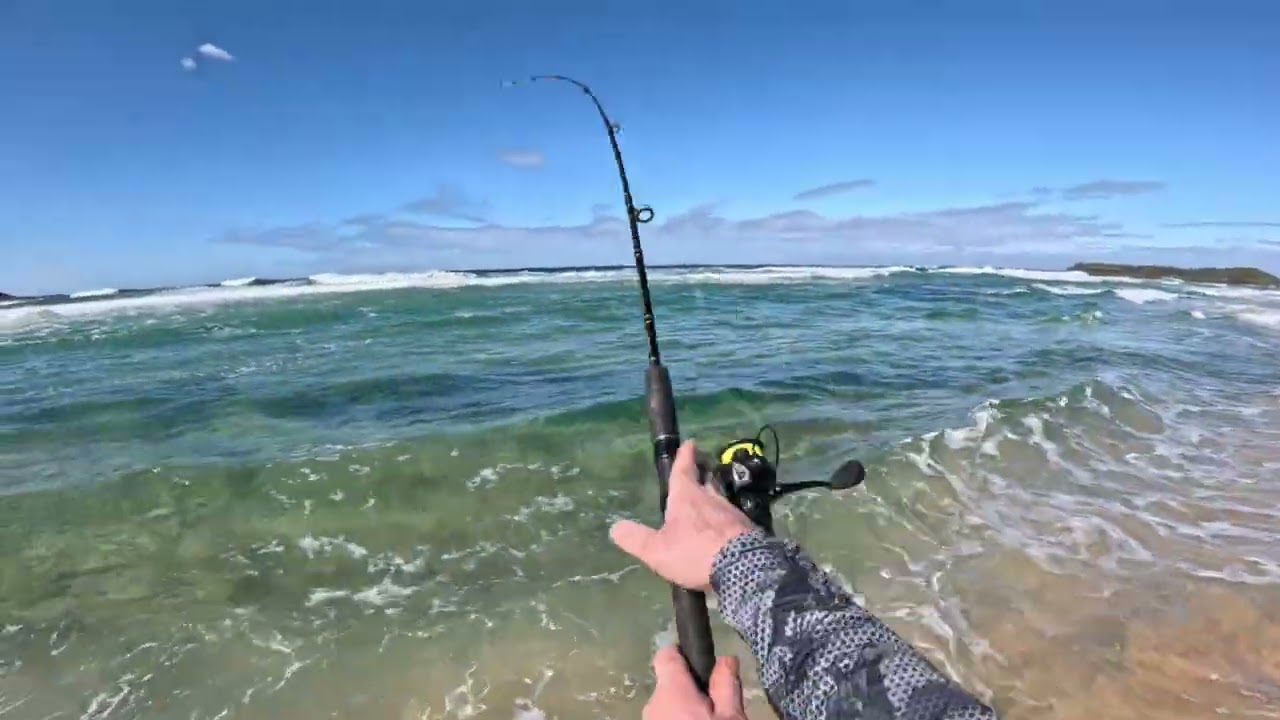 Solo fishing at Moonee beach (Catherine Hill Bay). Catch and Cook.