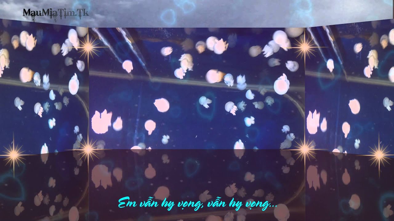 [Lyric] Em Vẫn Hy Vọng - Miu L&ecirc;