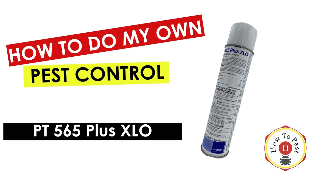 How to Use PT 565 Plus XLO | DIY Pest Control Aerosol Tutorial