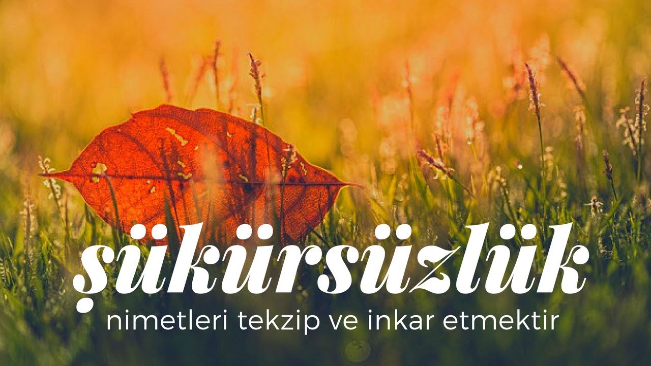 Risale-i Nur Dersi - Yirmi Sekizinci Mektub, Beşinci Mesele