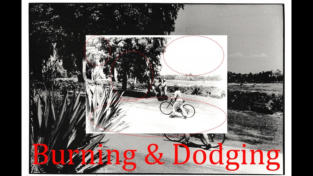 Darkroom Photography: Dodge and Burn