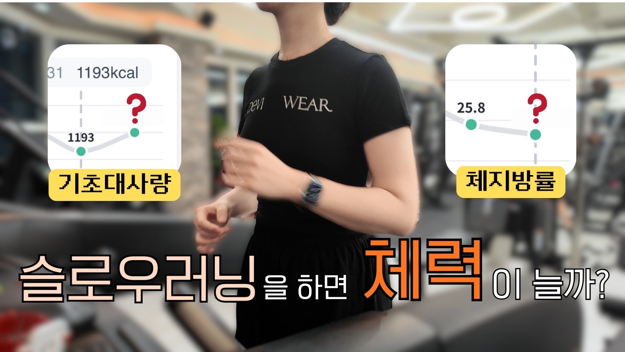 [내몸실험실 1탄] 2주간 체력 기르기 실험 💪 결국 체력보다 '이것'이 문제였다