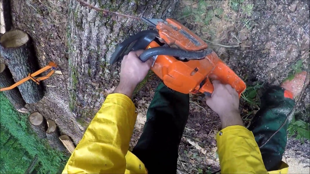 Powerful Husqvarna 340 saws oak, first person view