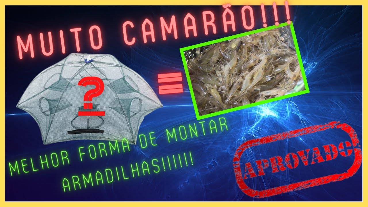 JEITO INFALÍVEL DE USAR ARMADILHA PARA PEGAR CAMARÃO
