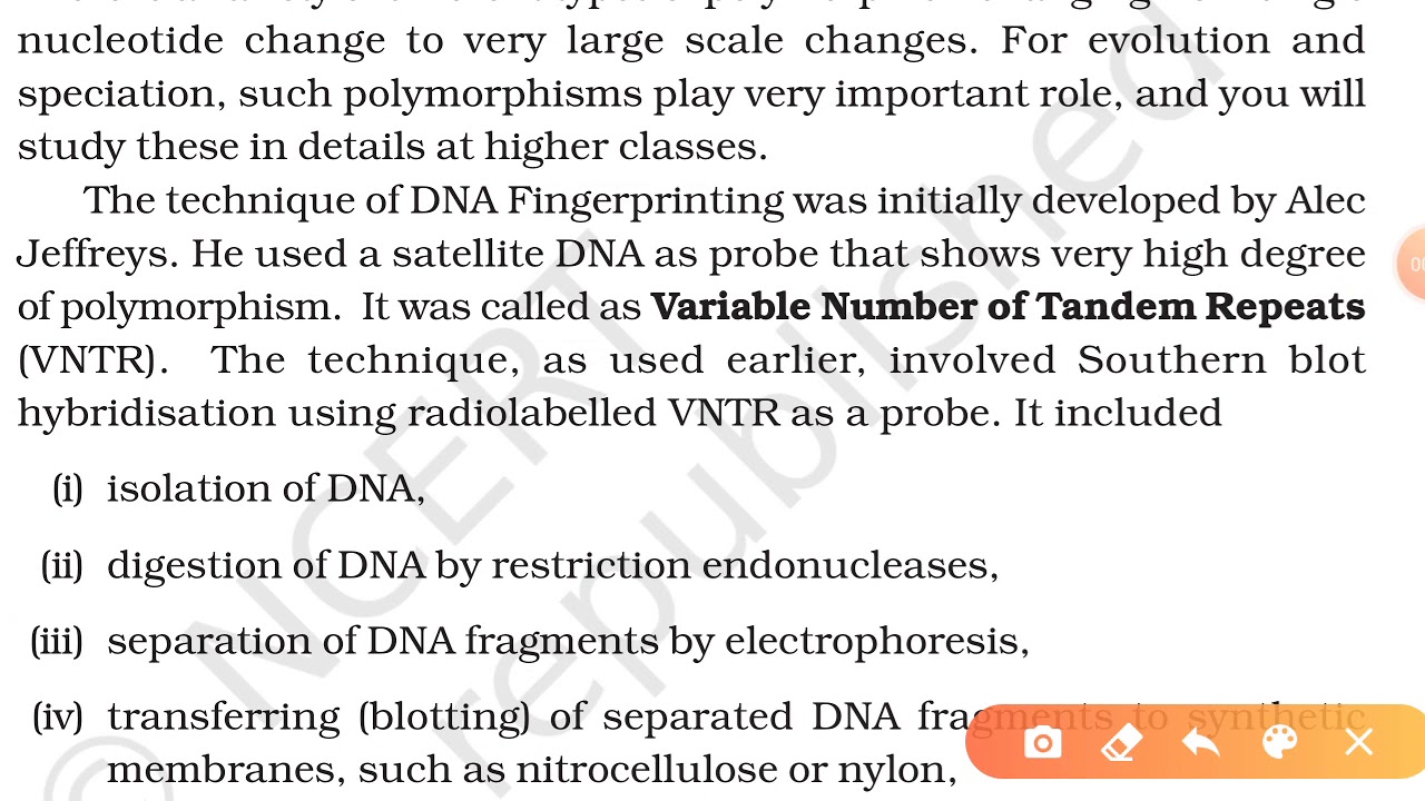 Steps of DNA Fingerprinting | NCERT Biology Class 12 | Molecular Basis Of Inheritance | Neet | CBSE