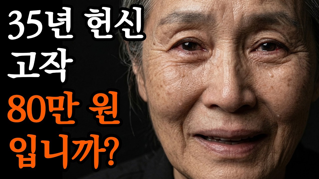변호사의 비정한 한마디에 무너진 60대 아내의 절규