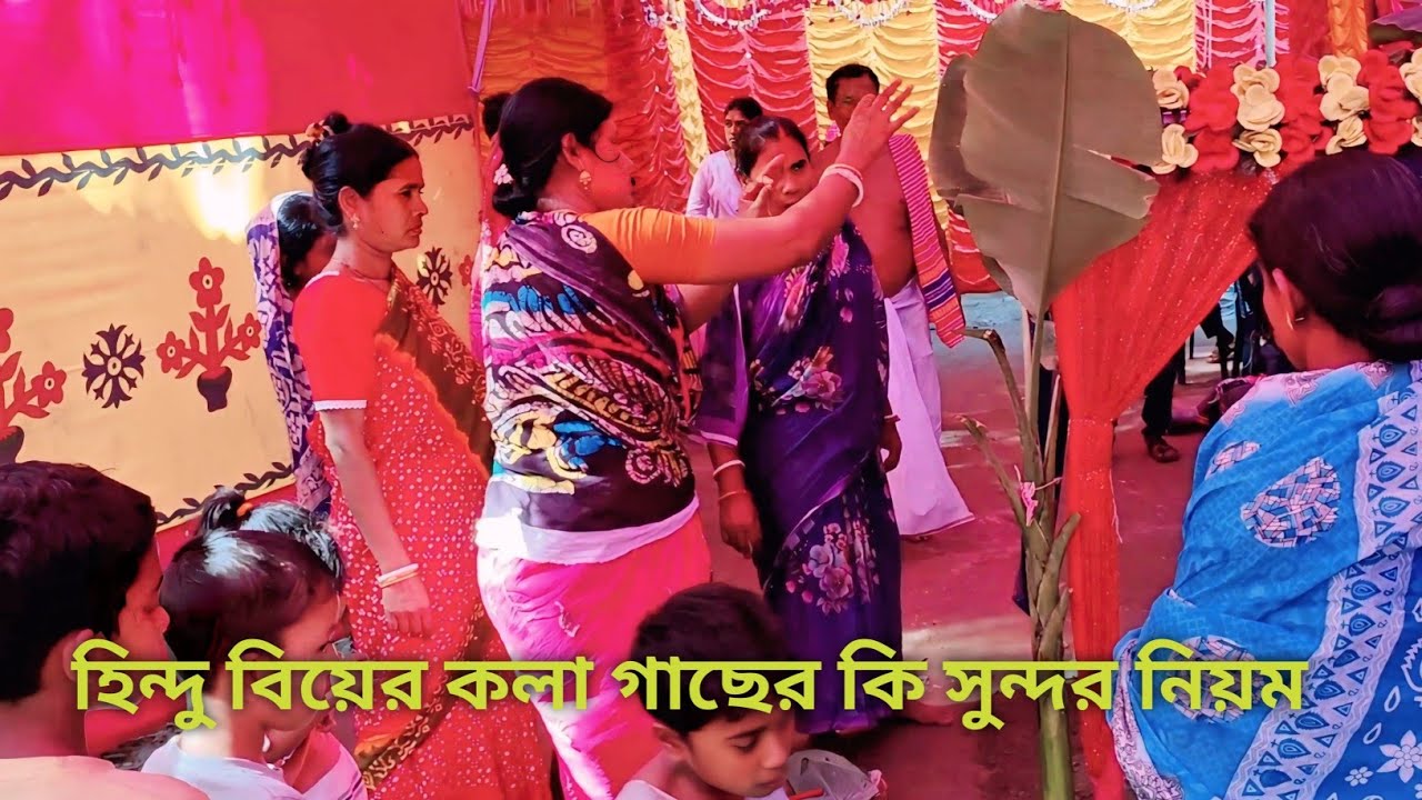 হিন্দু বিয়ের কলার গাছের বিয়ে দেওয়ার নিয়ম। না দেখলে মিস। বিয়ের বাজনা ২০২৫। বিয়ের গীত। biyer bajna। 