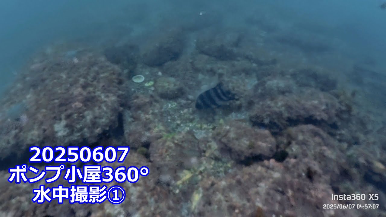 20250607ポンプ小屋360°水中撮影①（04:34:16～05:49:00）チャプター付き