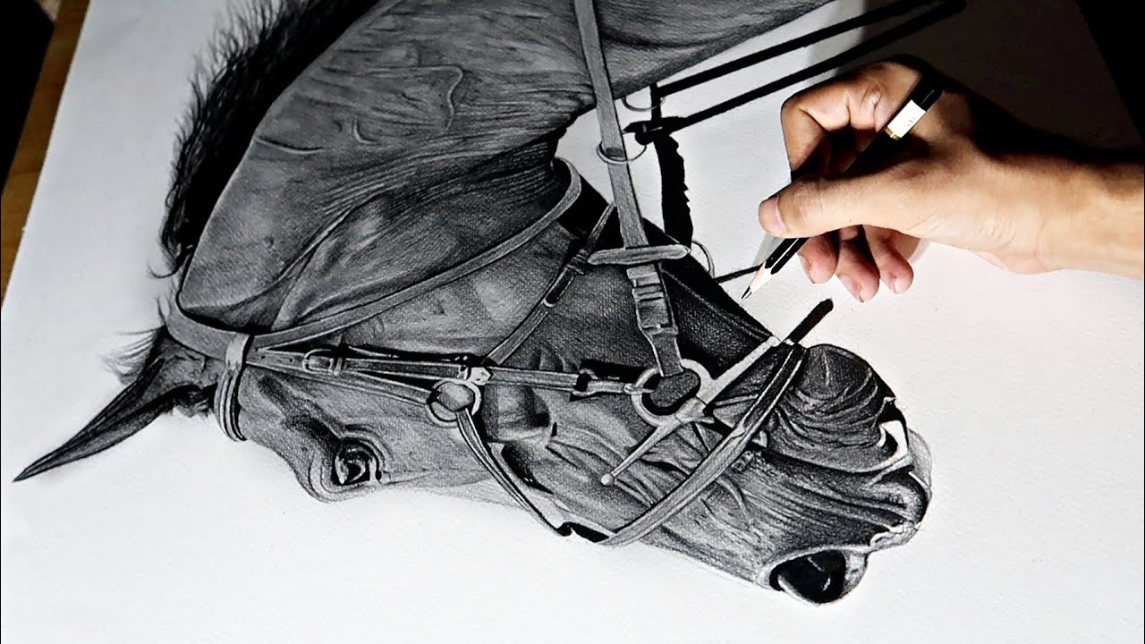 Drawing Horse 🐎 with Pencils | Timelapse