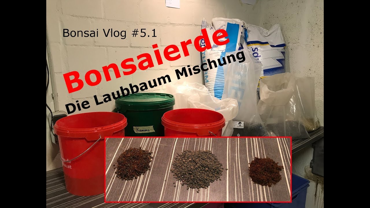 Bonsaierde - Die Laubbaum Mischung [Bonsai Substrat] | Bonsai VLog # 5.1