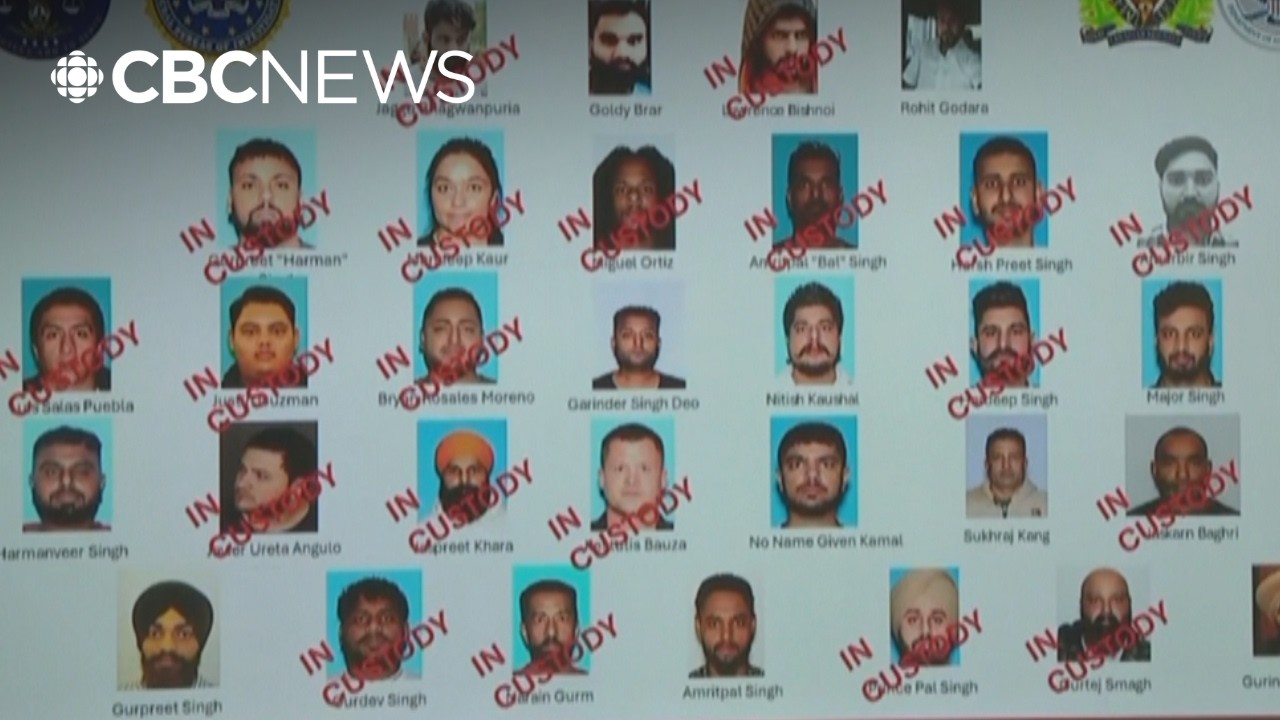 Dozens arrested in India-based organized crime gang crackdown, officials say