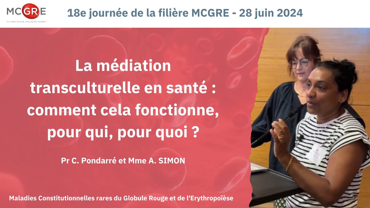 La médiation transculturelle en santé : comment cela fonctionne, pour qui, pour quoi ?