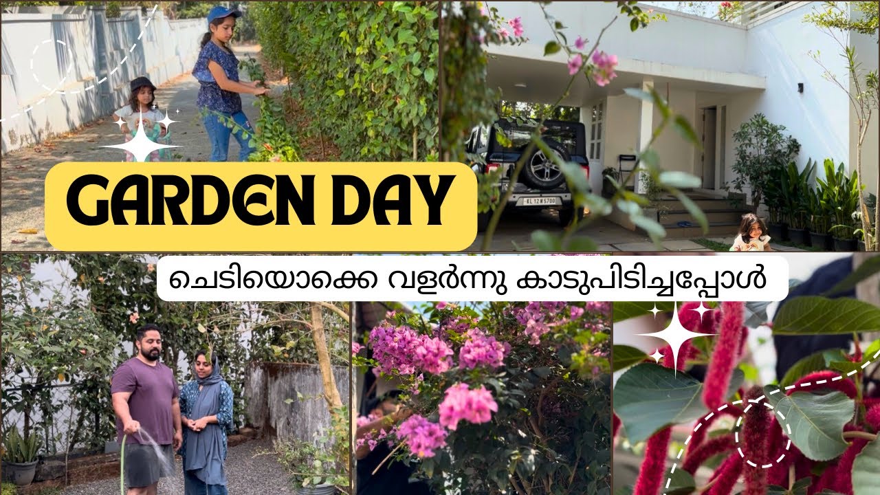 ചെടിയൊക്കെ വളർന്നു കാടുപിടിച്ചപ്പോൾ 🌿#Gardenday #homevlog🏠#weekendtime