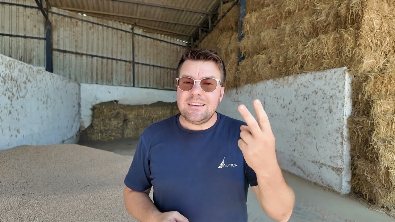 Sadece 5 hammadde ile SÜT YEMİ yapılır mı ? Süt ve Besi Yemi PAHALI mı ?