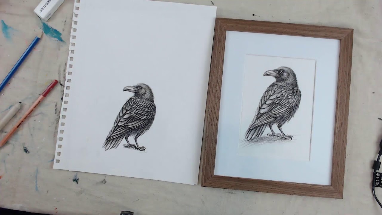 The Raven - Charcoal Drawing - Step -by -step