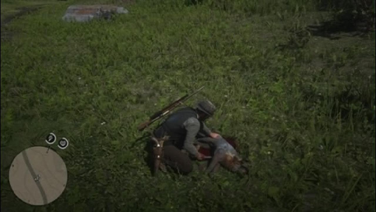 Red Dead Redemption 2_20260218164654